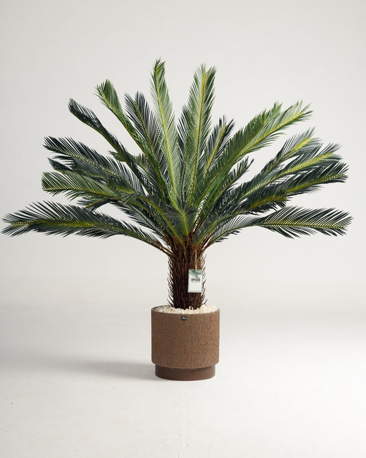 Lux Palm Tree