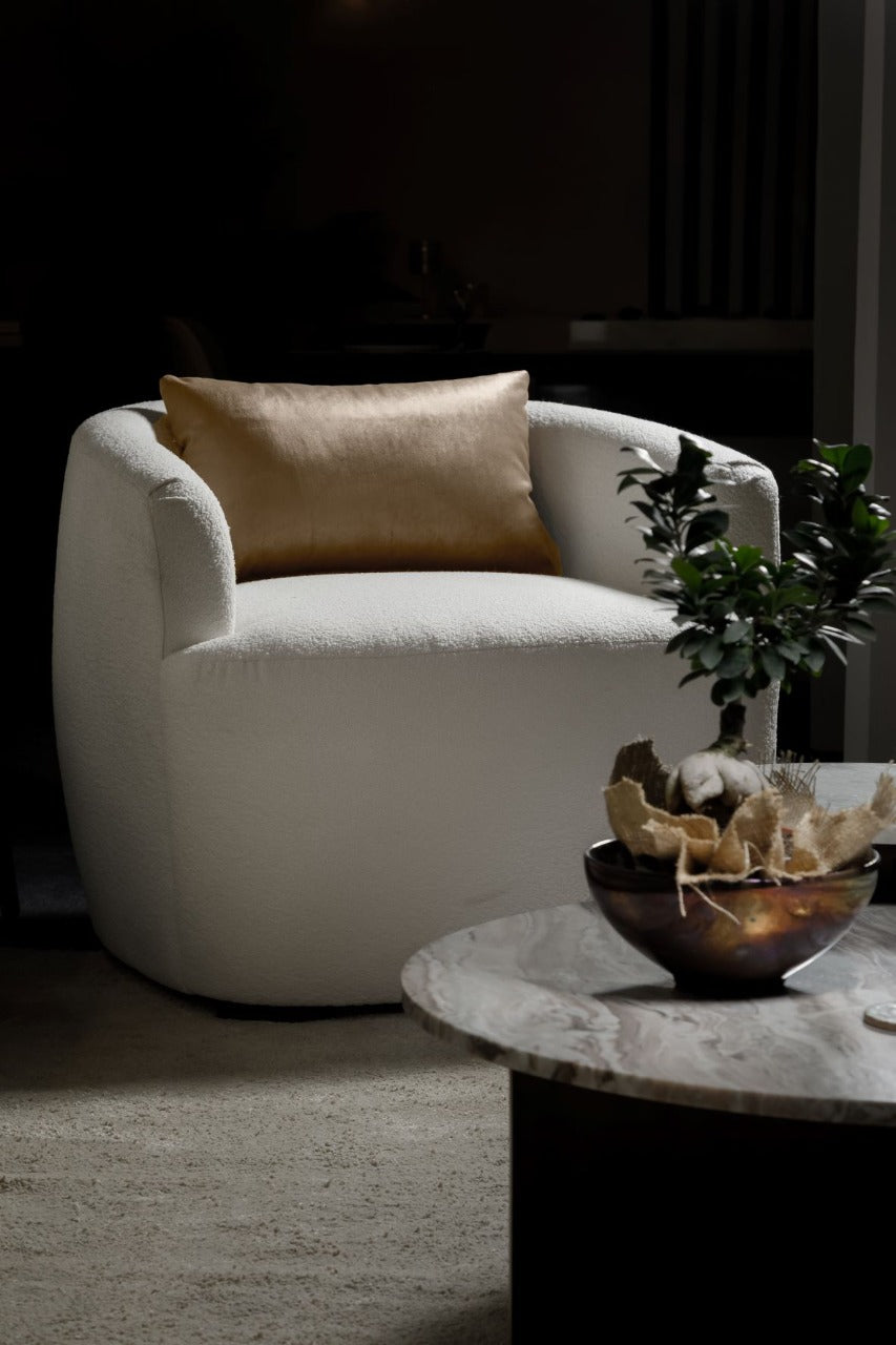 Living Room Armchair