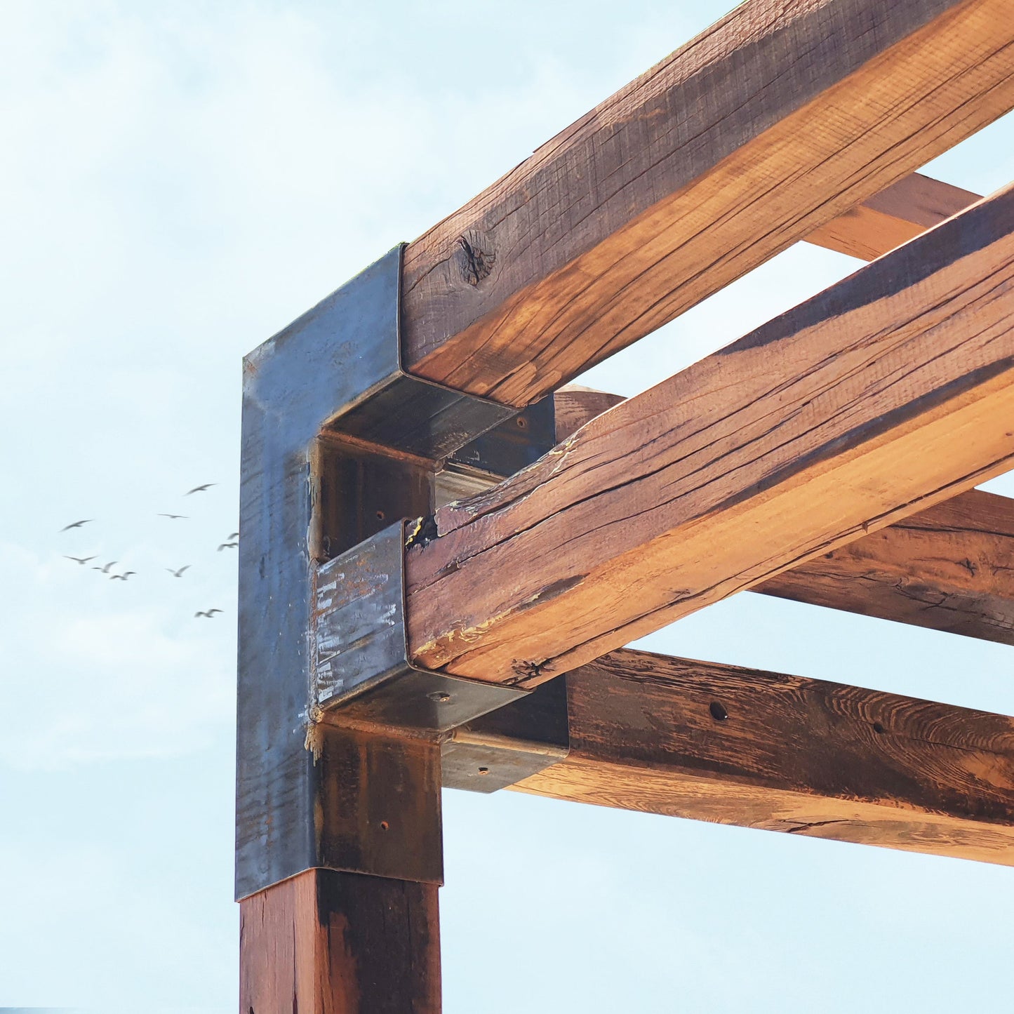 Pergola