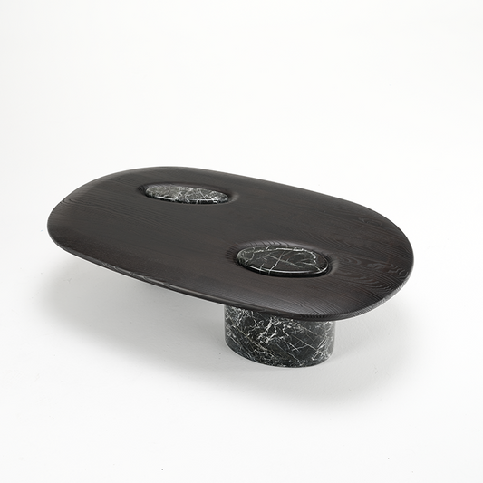 Modern design coffee table