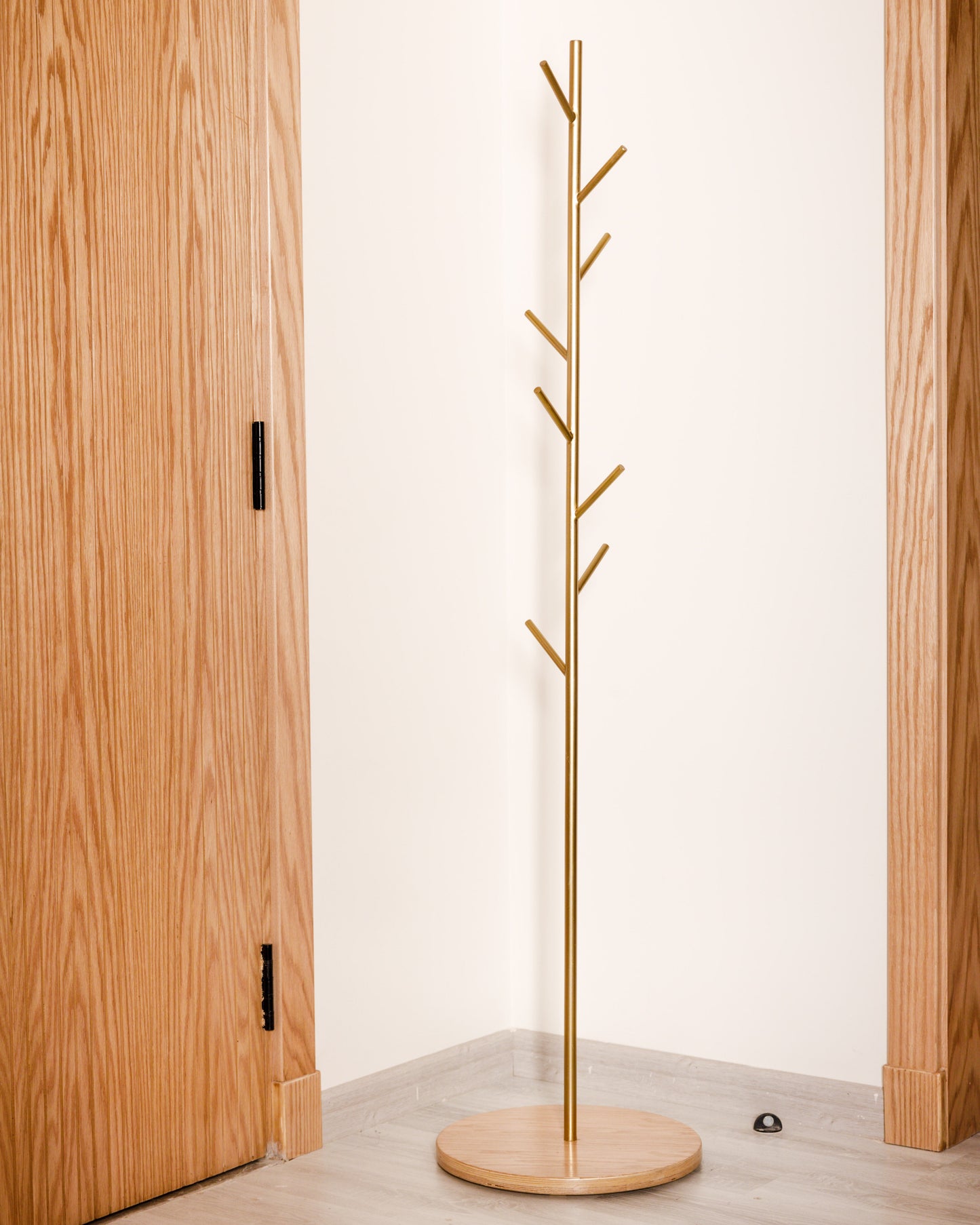 Coat Hanger