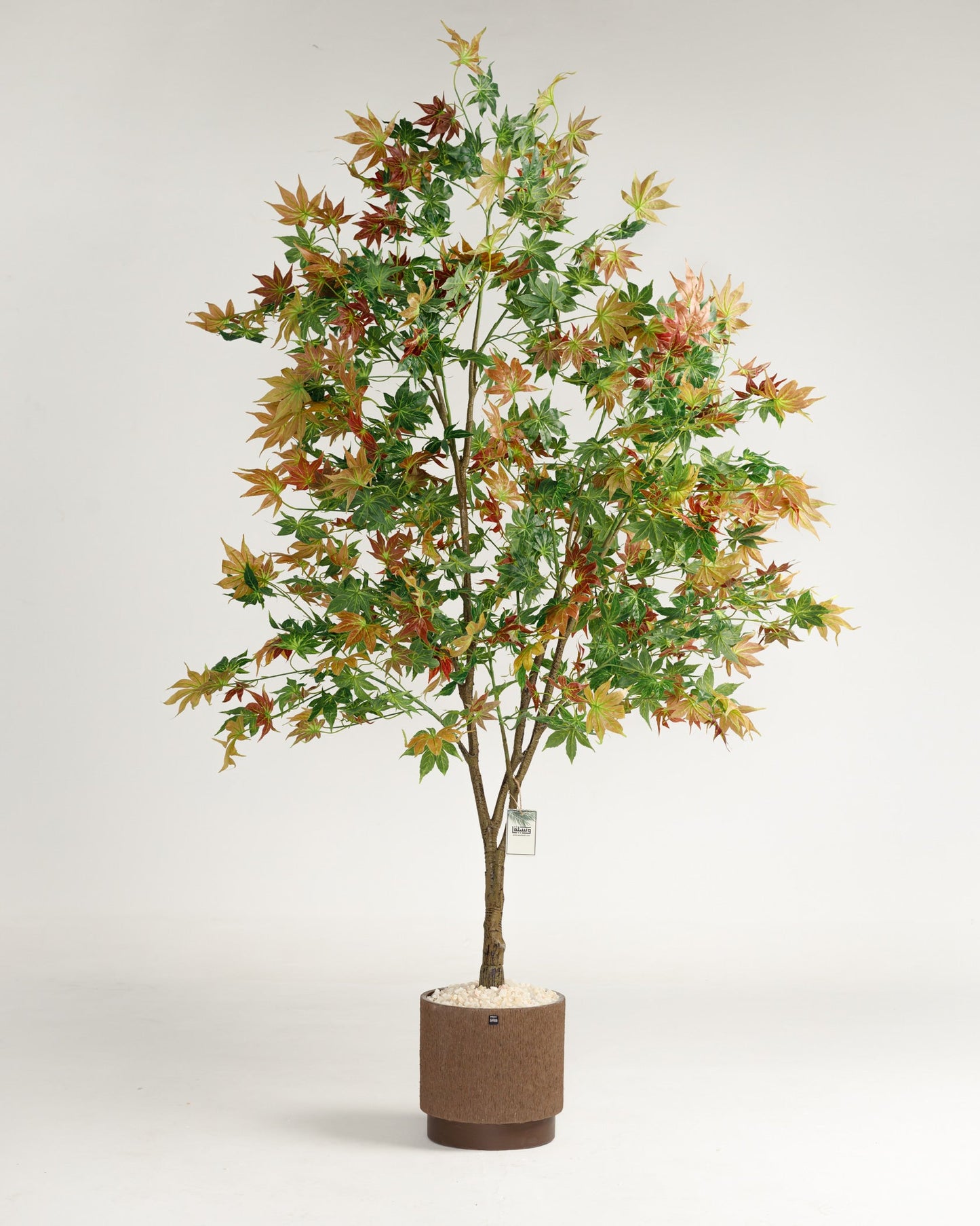 Hawaii Artificial Tree