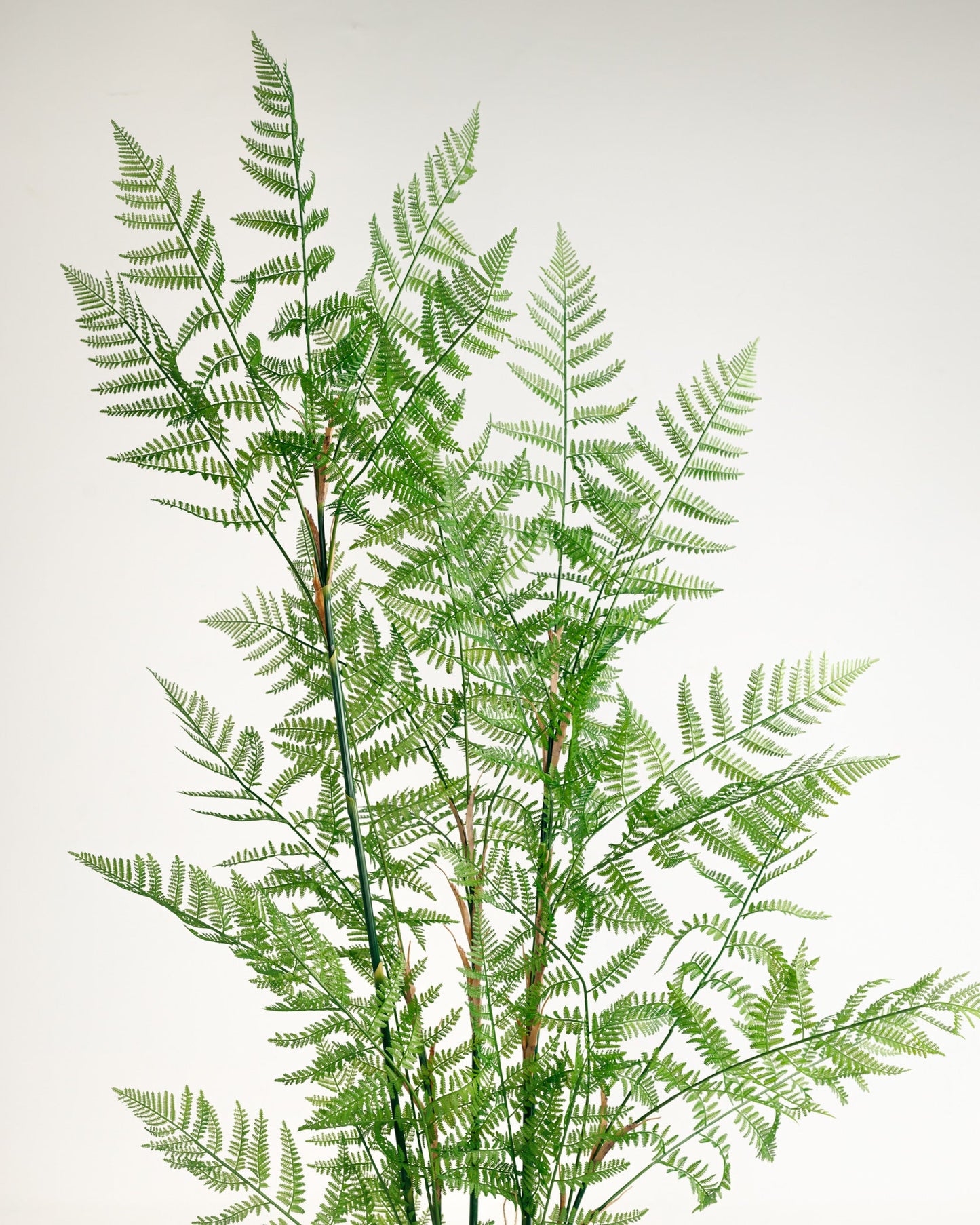 Fujairah Artificial Tree