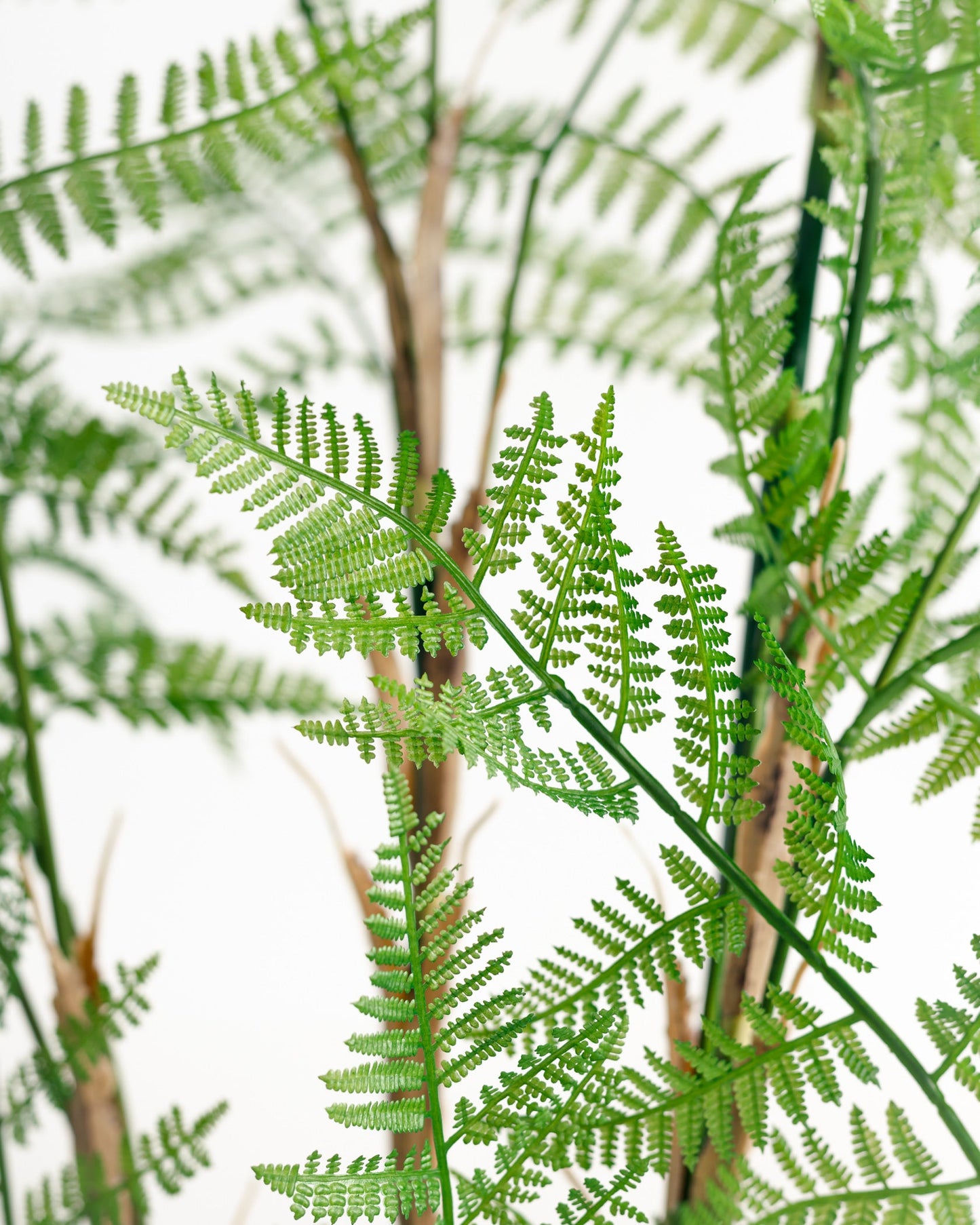Fujairah Artificial Tree