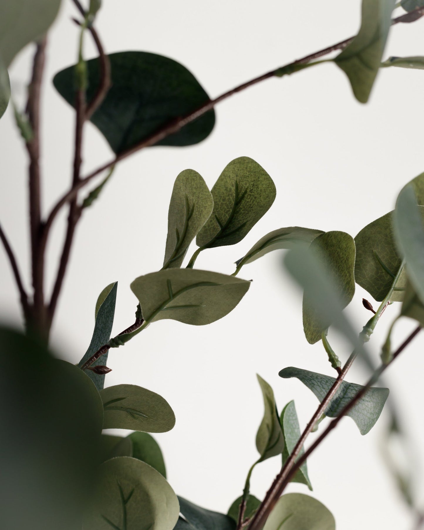 Eucalyptus Artificial tree