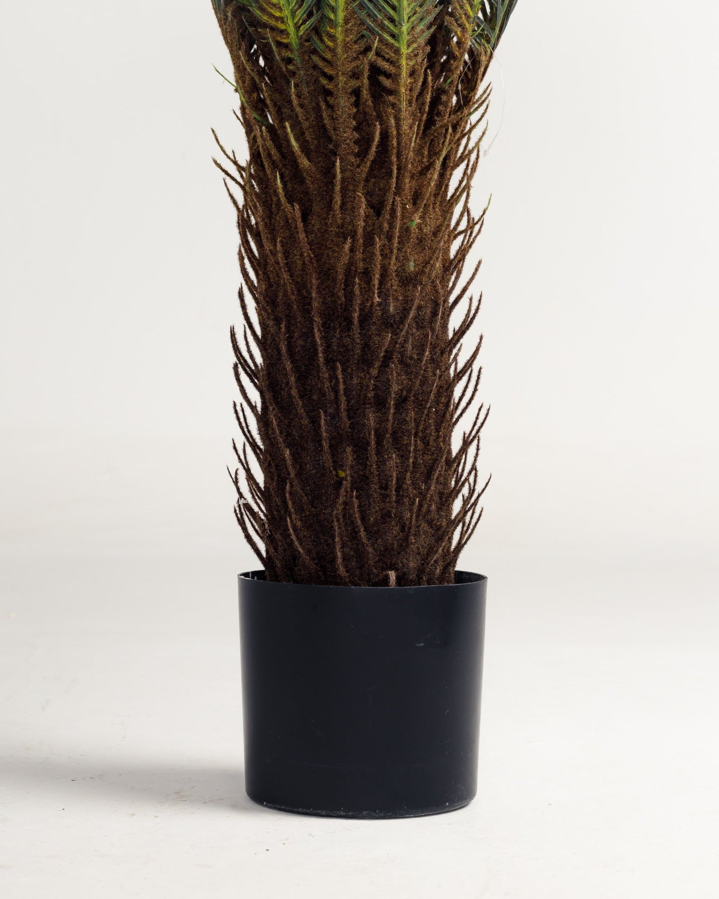 Lux Palm Tree