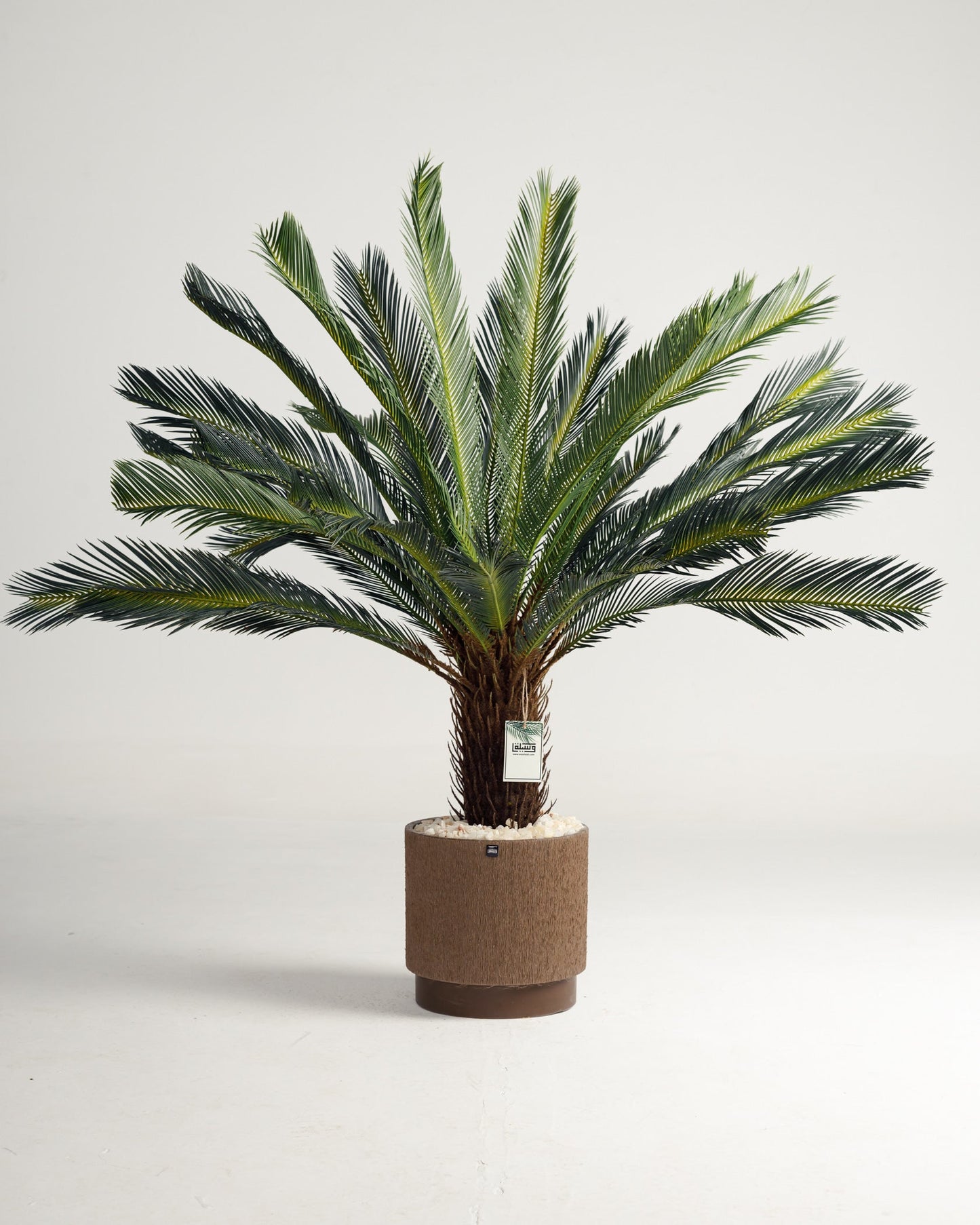 Lux Palm Tree
