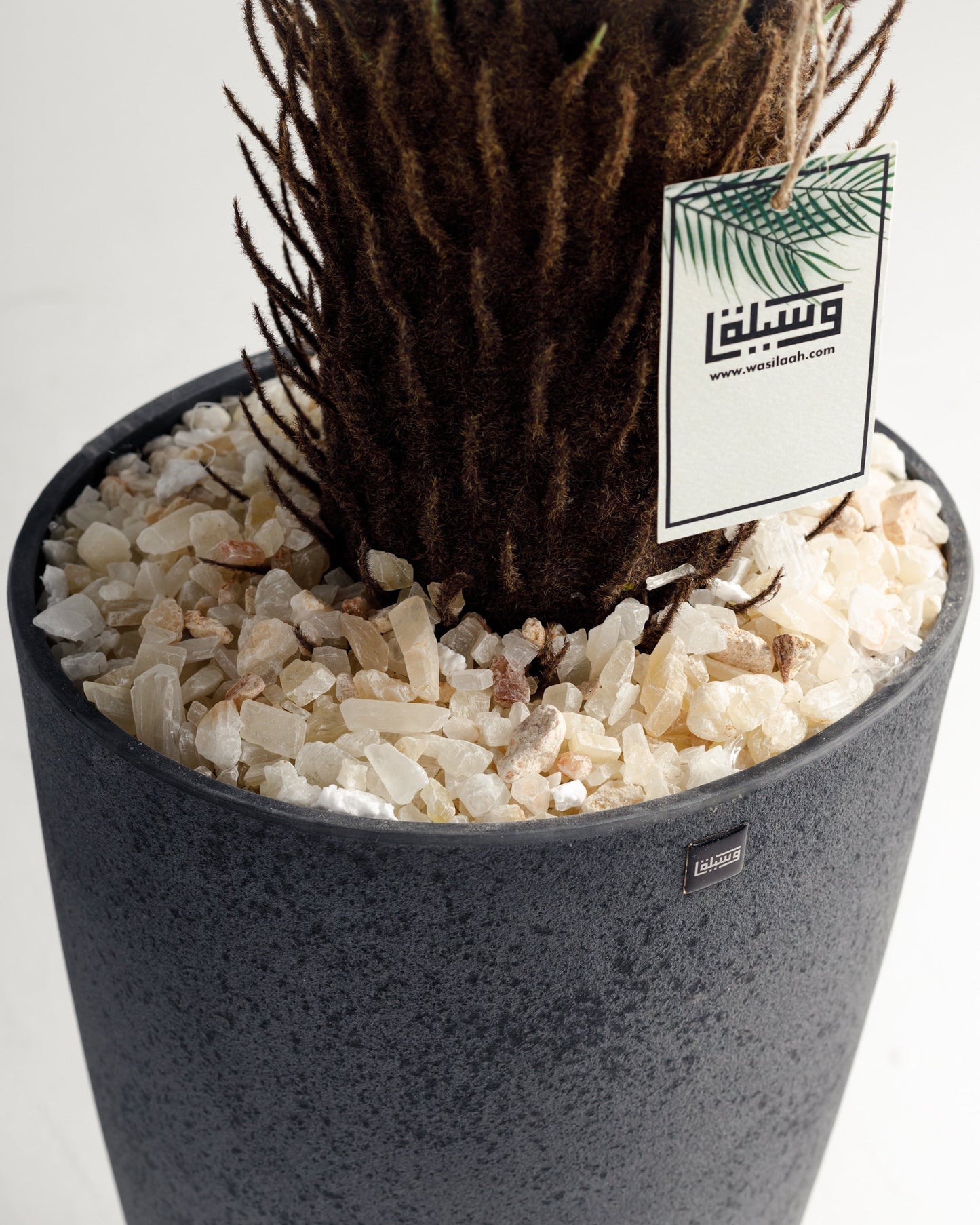 Fiber Pot 3