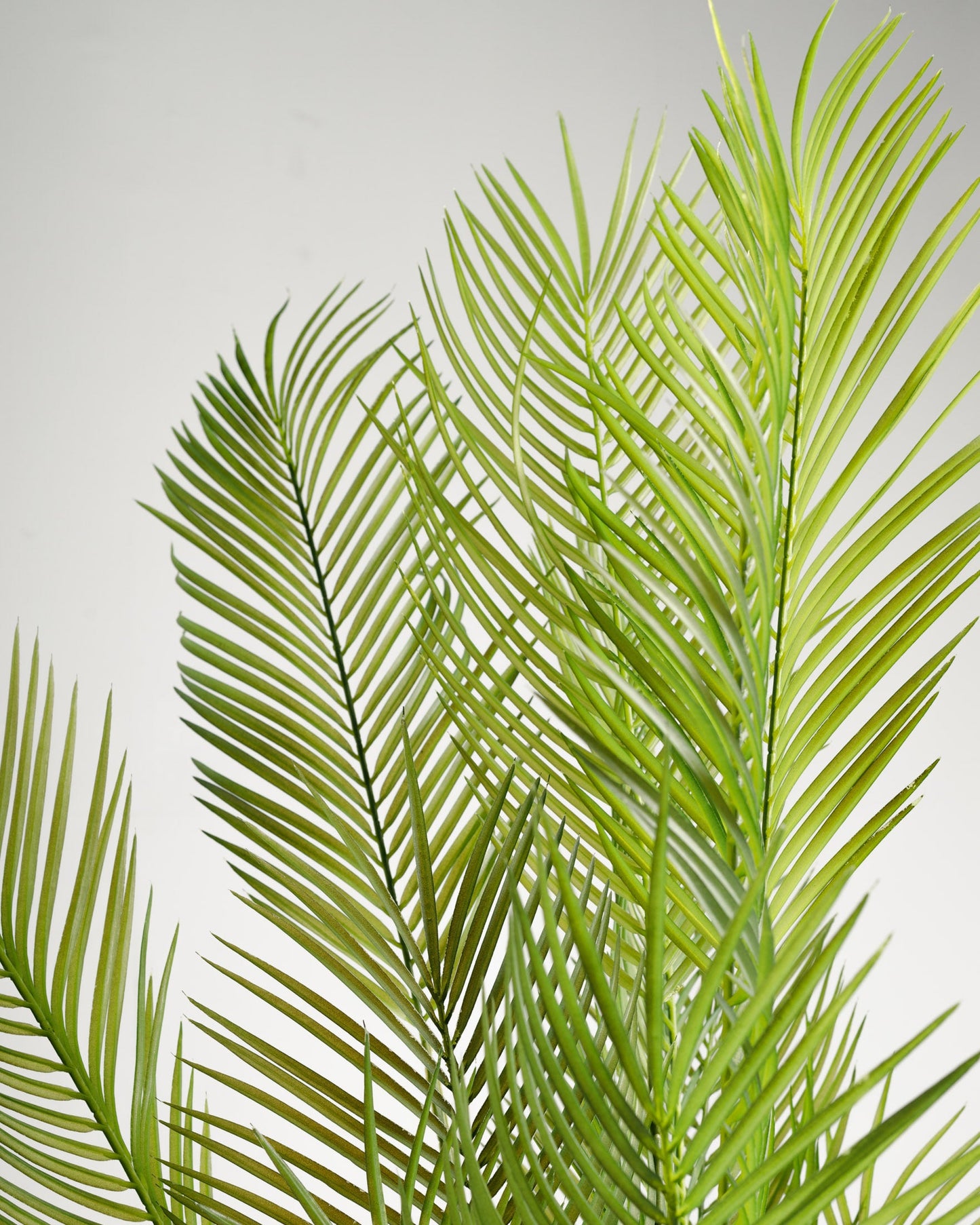 Areca Palm Artificial Plant