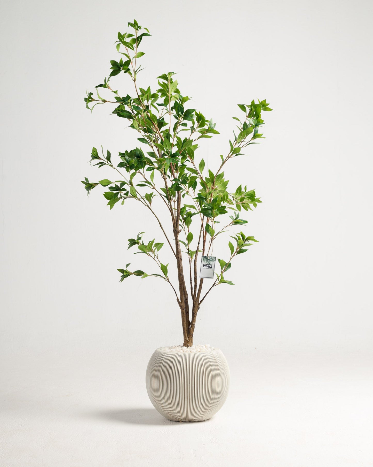 Benjamina Artificial Tree