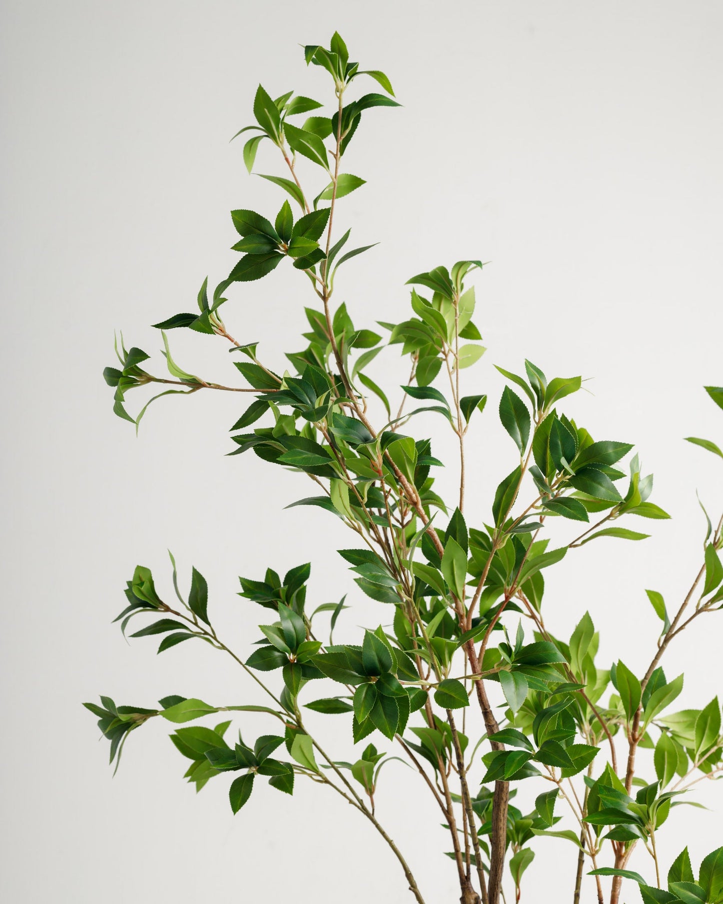 Benjamina Artificial Tree