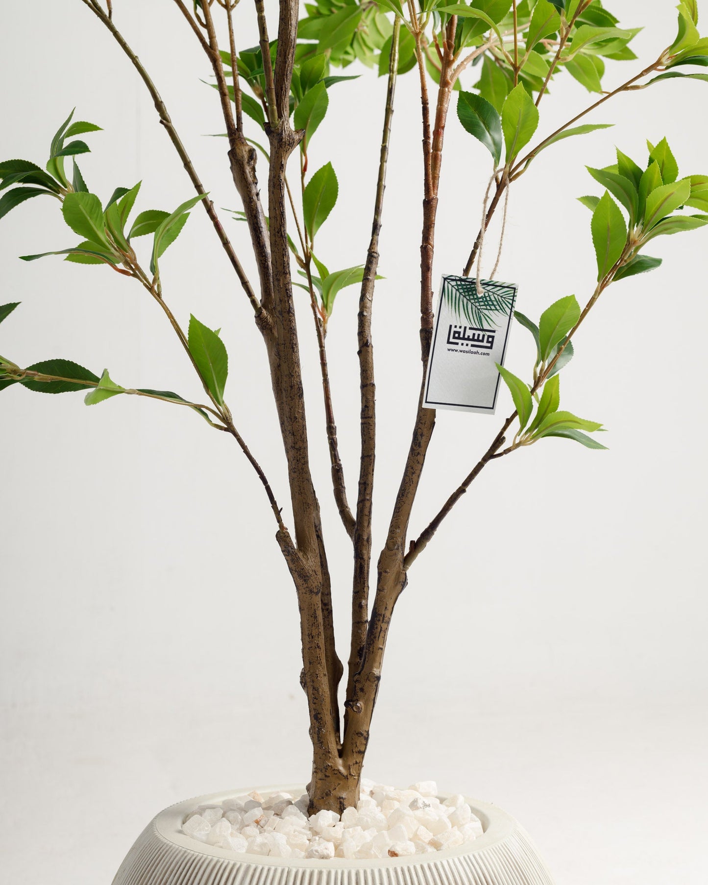 Benjamina Artificial Tree