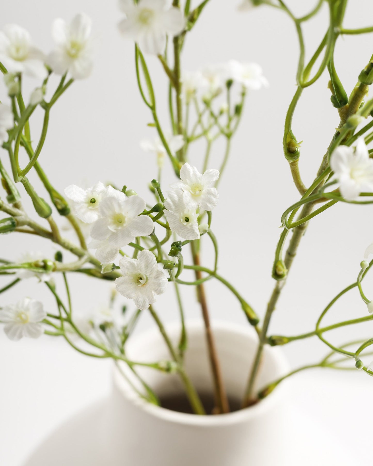 White Flowers Branch