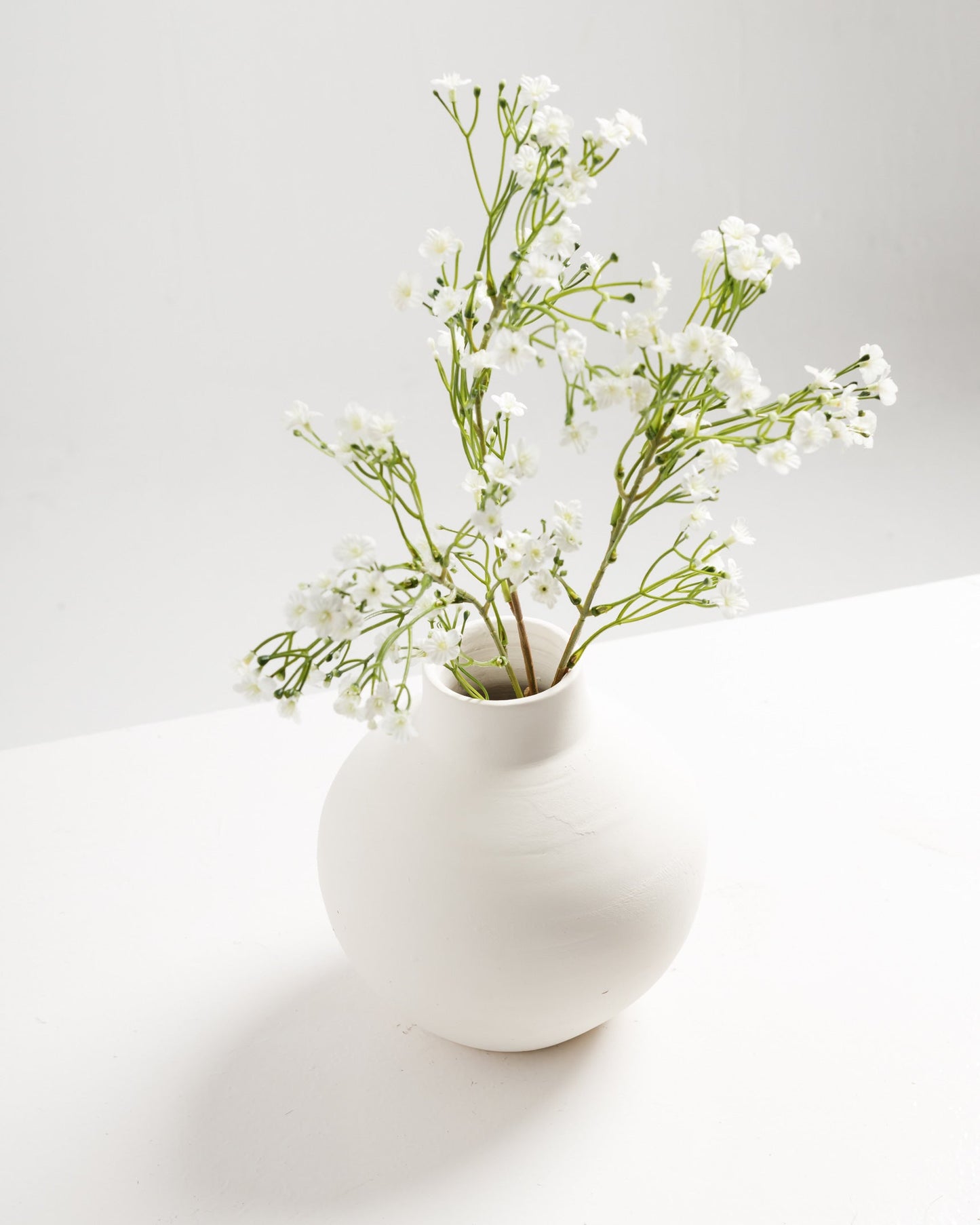 White Flowers Branch