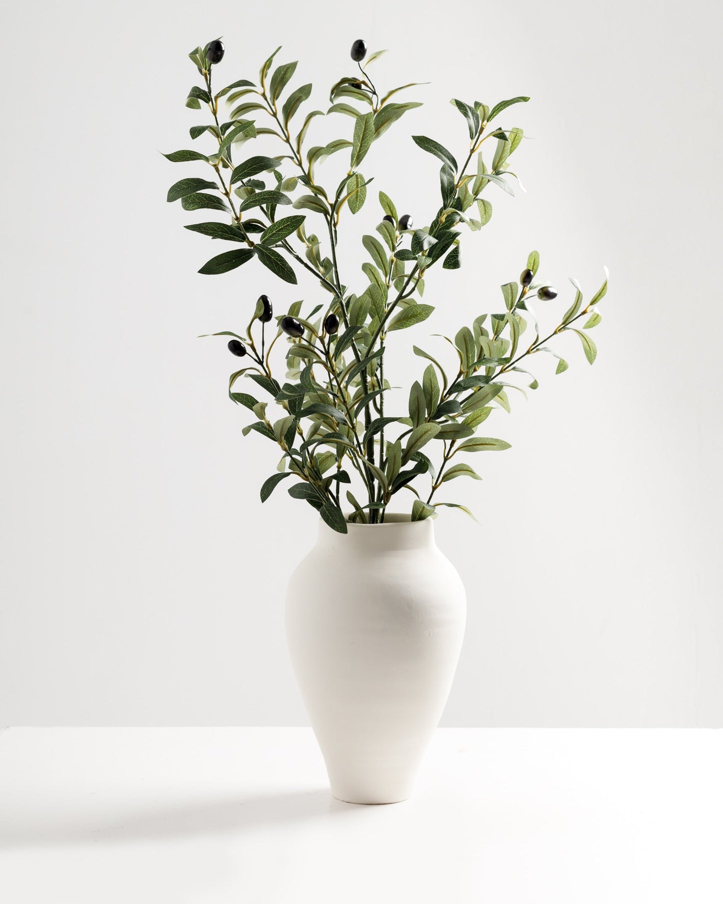 Olive Branch