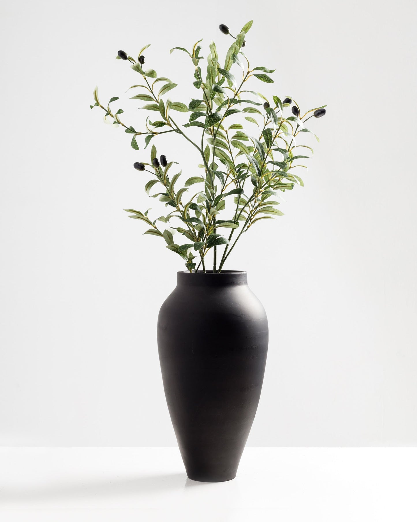 Olive Branch