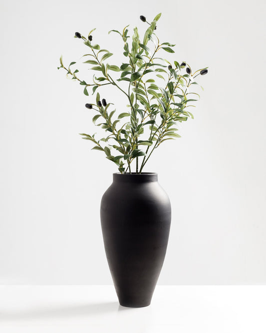 Olive Branch