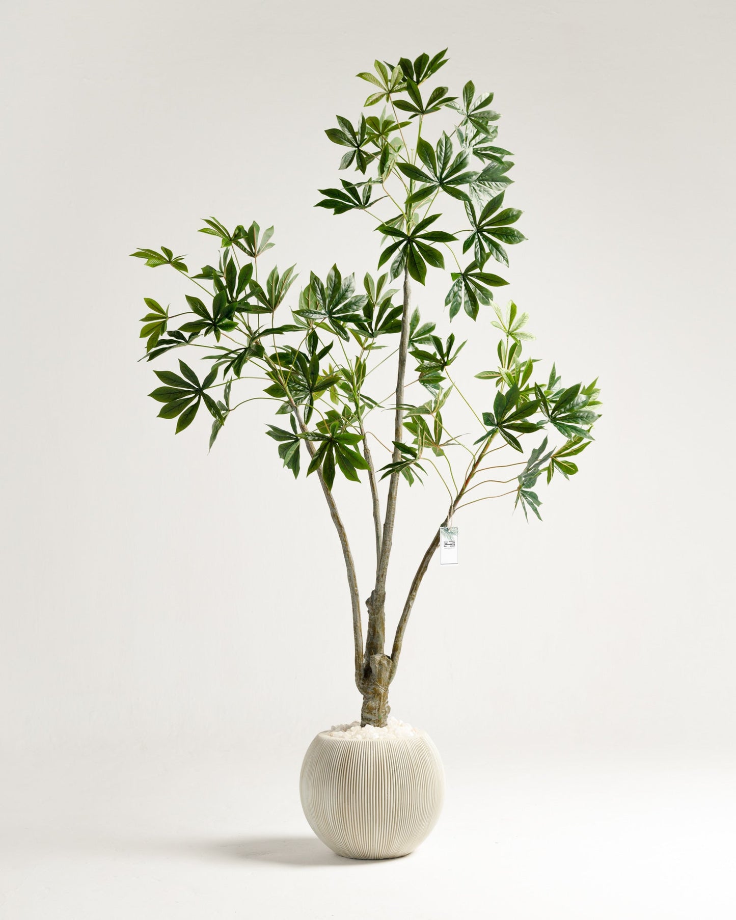 Ricinus Artificial Tree