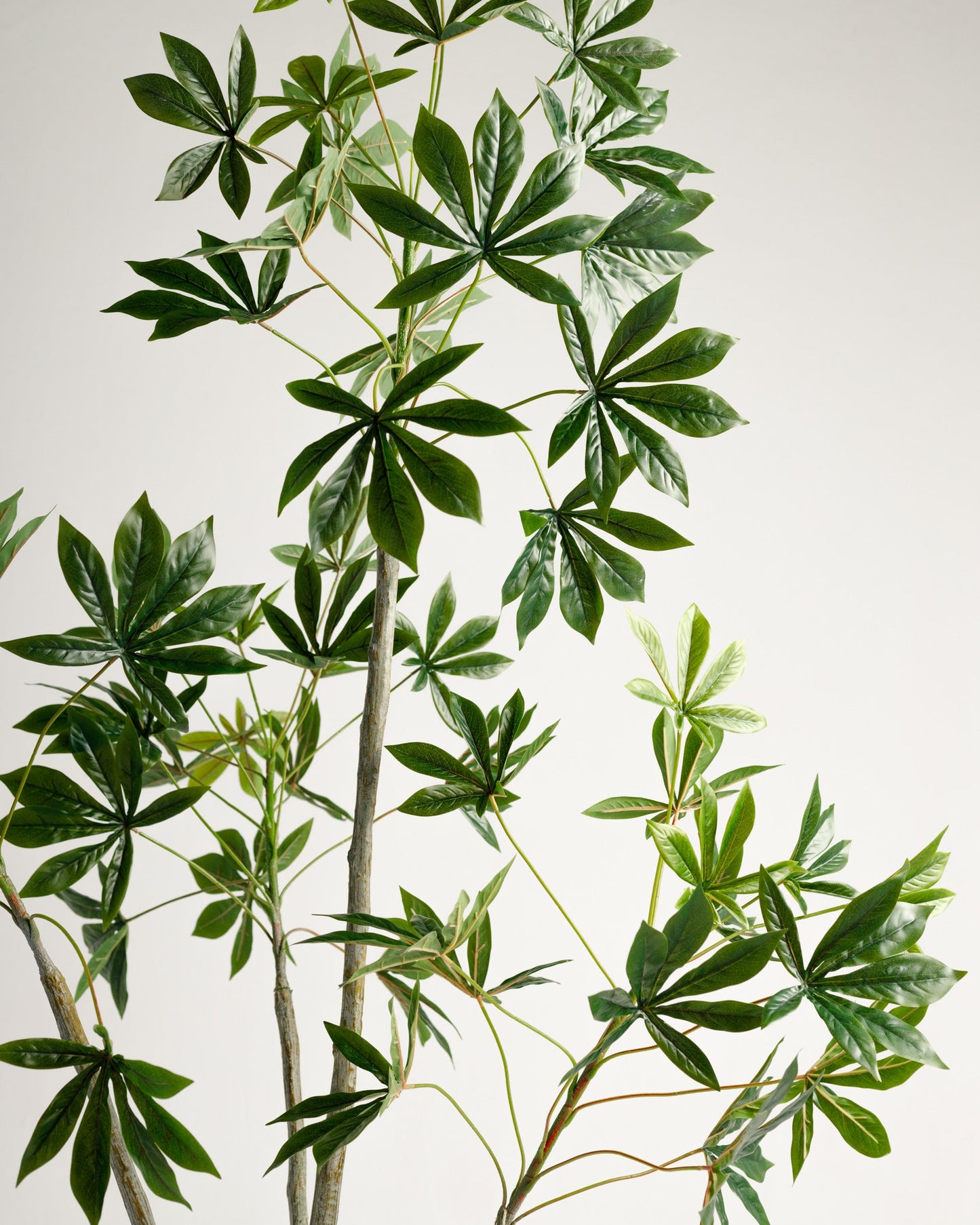 Ricinus Artificial Tree