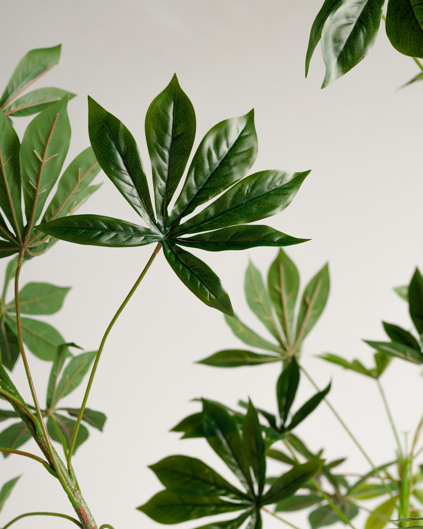 Ricinus Artificial Tree