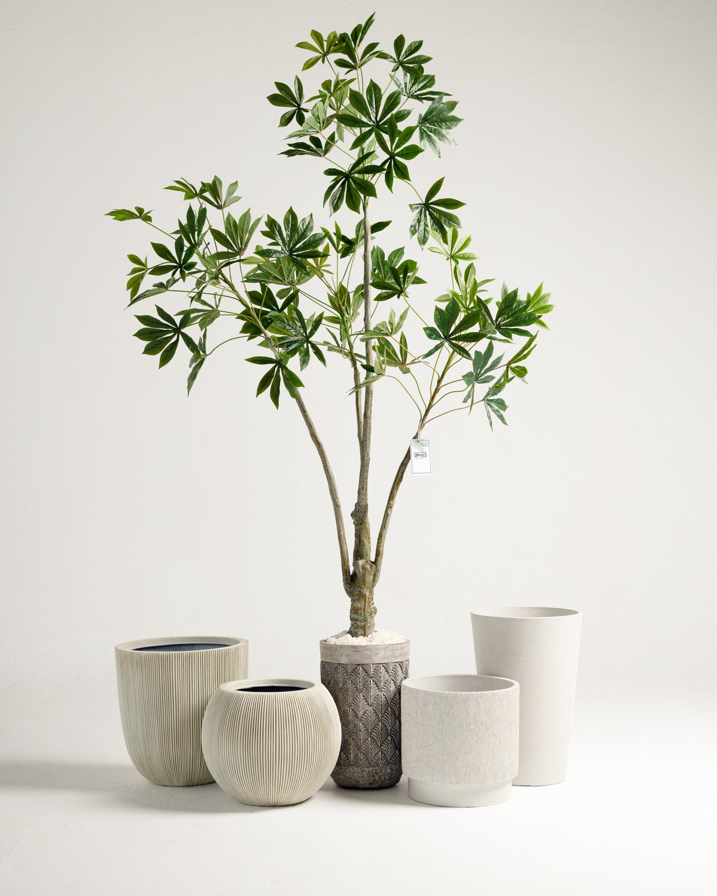 White Short Fiber Pot