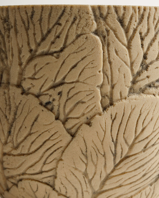 Foresta Pot