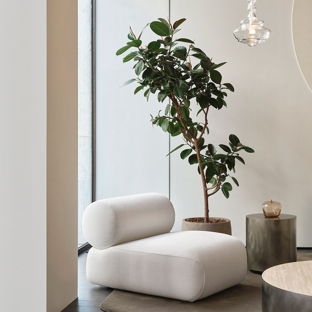Riviera Lounge Chairs
