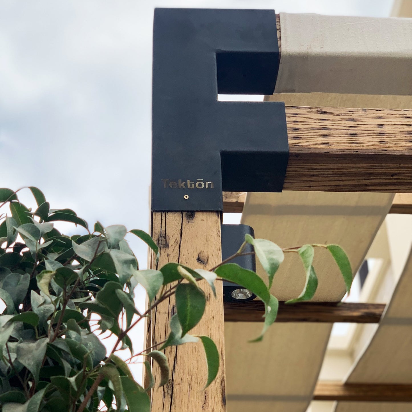 Pergola