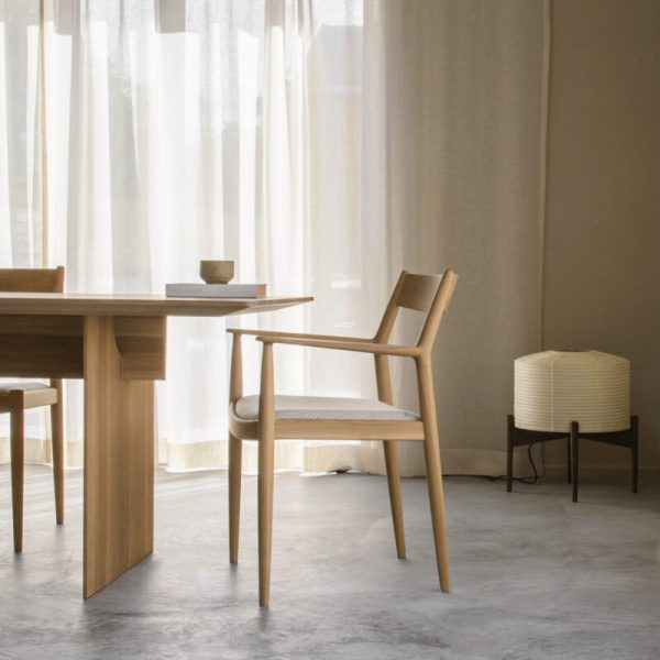 Contemporary Dining Chair