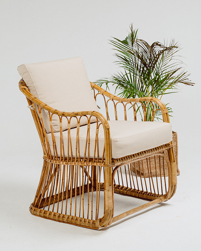 Peacock Chair