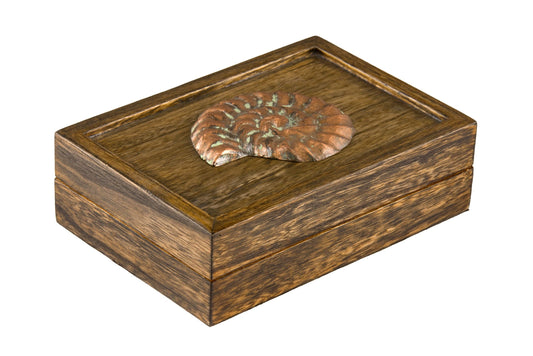 Box HA13099