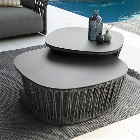 Distinctive double coffee table