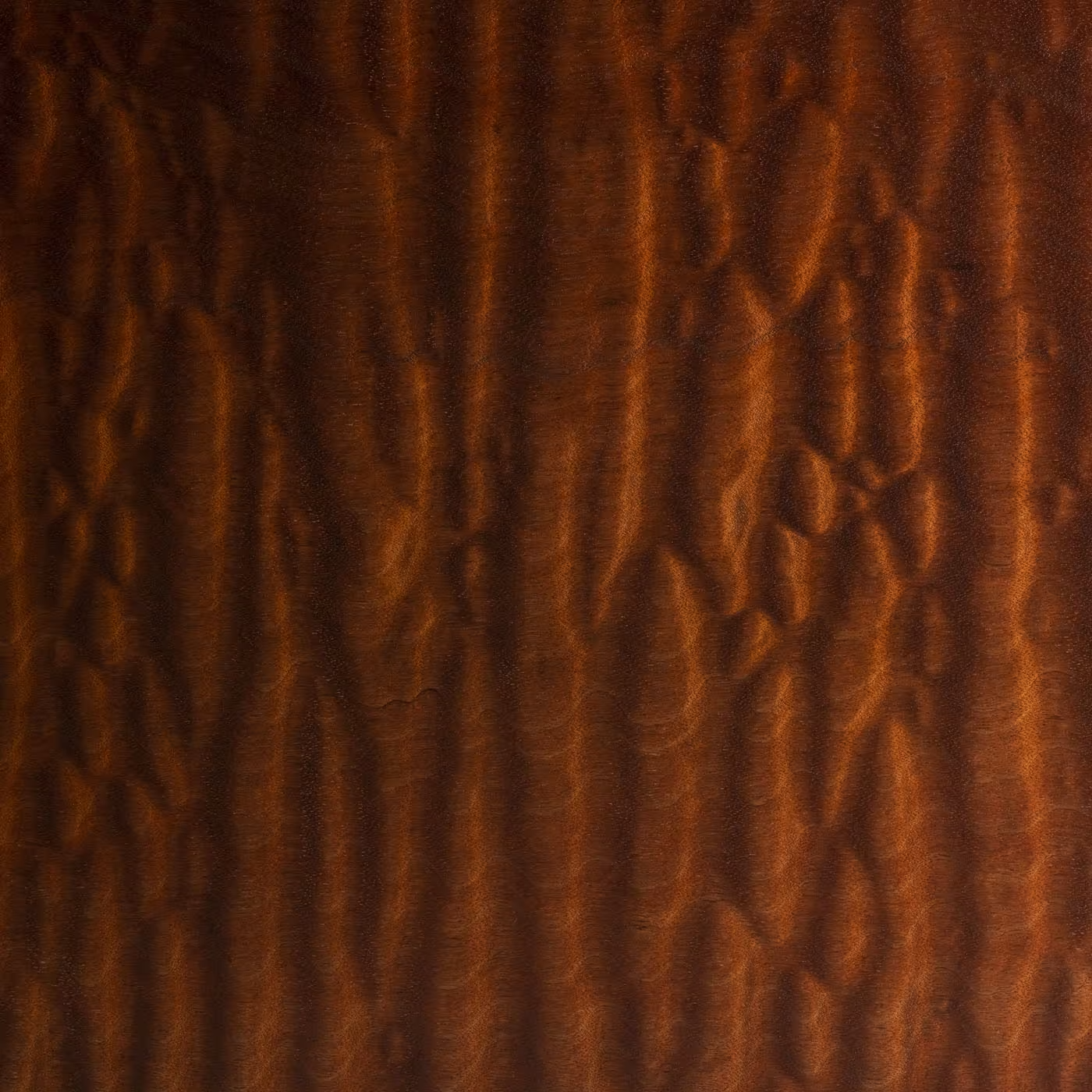 Vitruvio mahogany pomele large coffee table