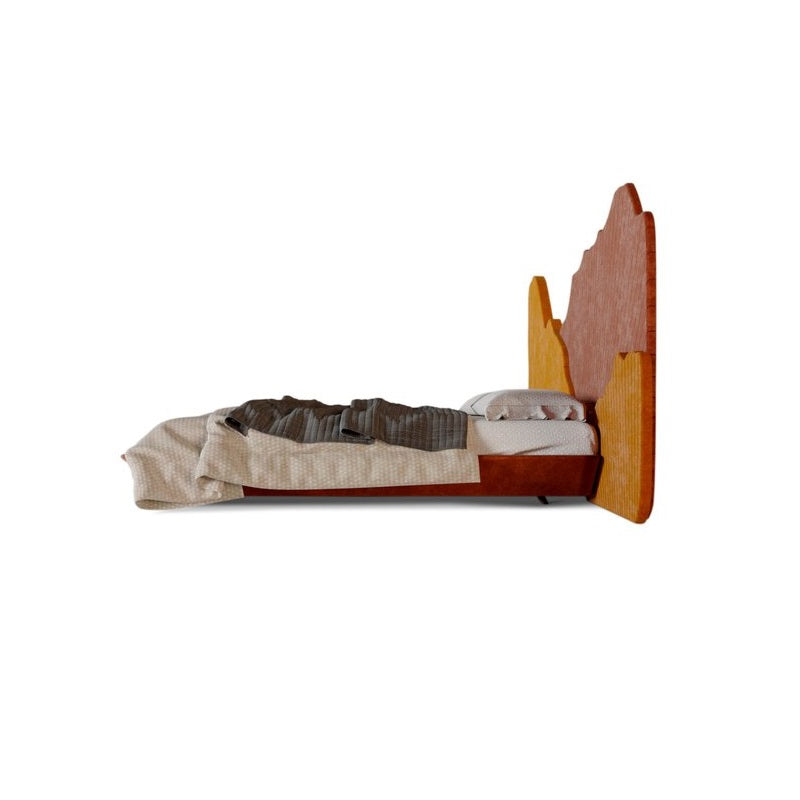 Bed with a unique and distinctive design