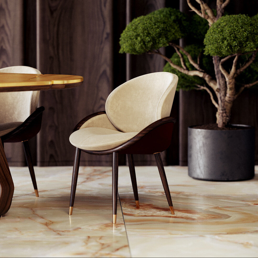 Elegant and comfortable chair