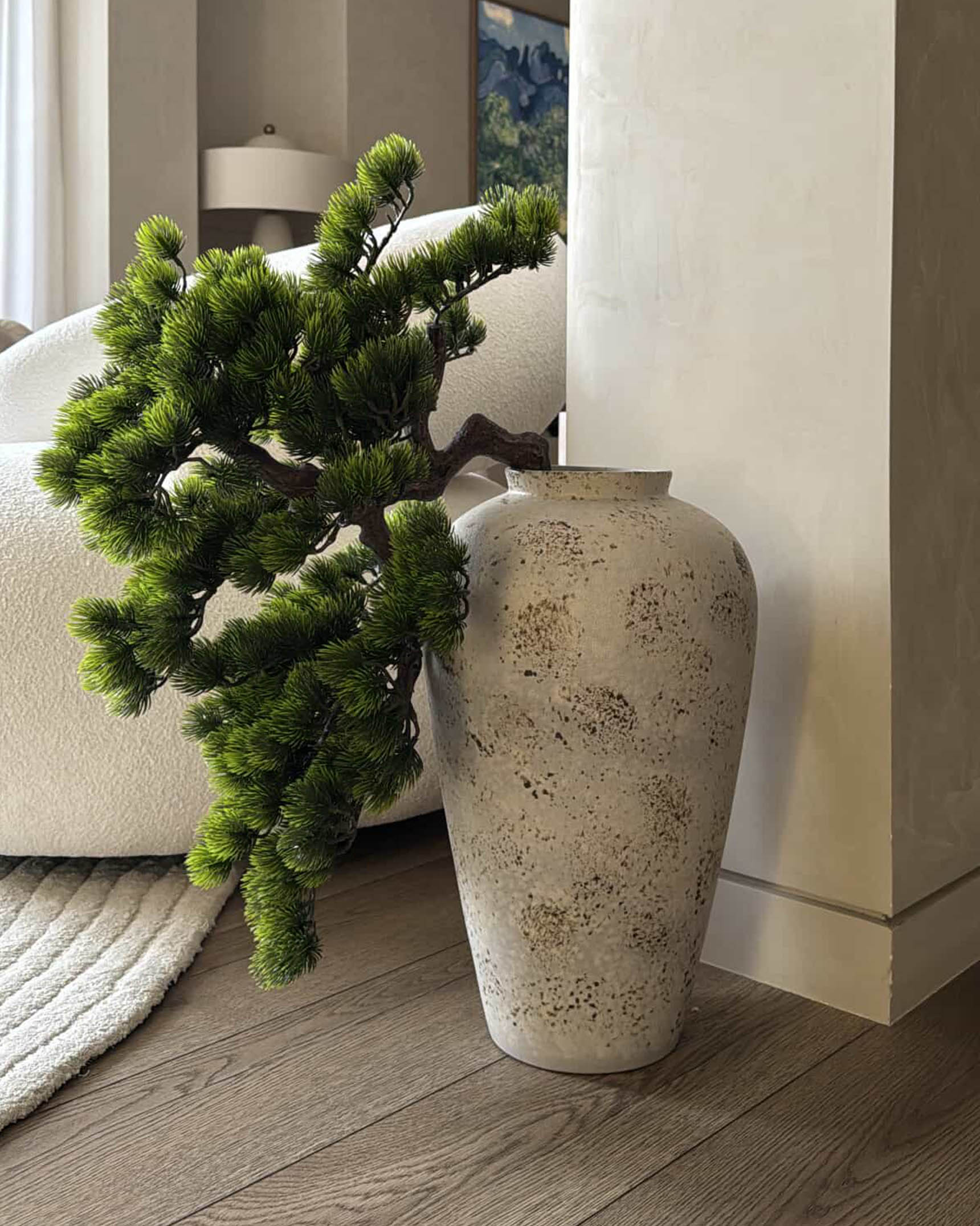 Short Bonsai Tree